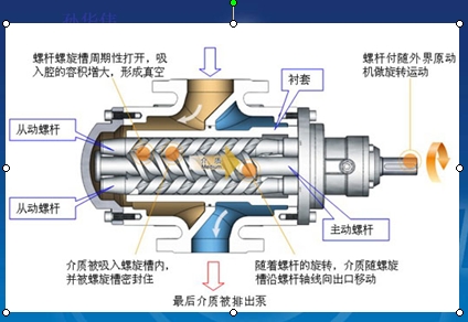 立式三螺杆泵结构图图片