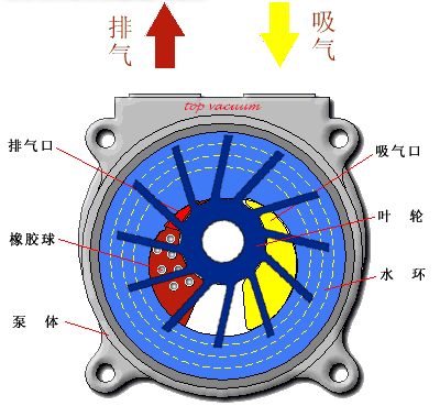 液环式真空泵 叶轮角度问题液环式真空泵的叶片角度大于90°么?